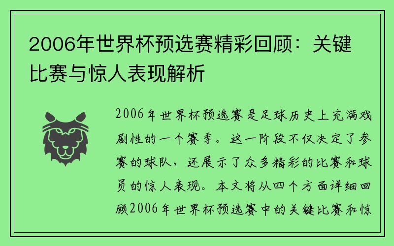2006年世界杯预选赛精彩回顾：关键比赛与惊人表现解析