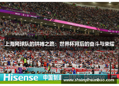 上海网球队的拼搏之路：世界杯背后的奋斗与荣耀