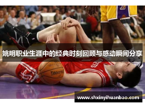 姚明职业生涯中的经典时刻回顾与感动瞬间分享