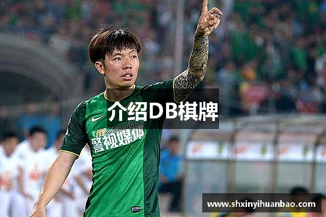 介绍DB棋牌
